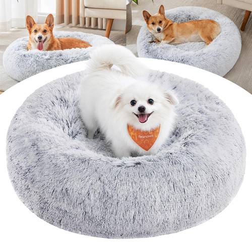 60x60x20cm cat bed - cat,