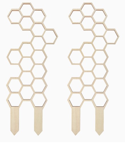 Wooden trellis plant - plant, support
