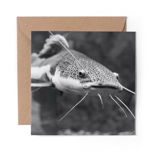 Blank greeting card - blank,