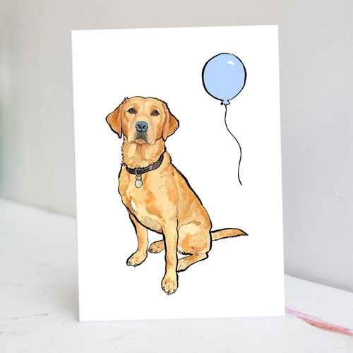 Fox red labrador - labrador, birthday