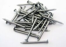 Wire Nails 25mm (1 inch)