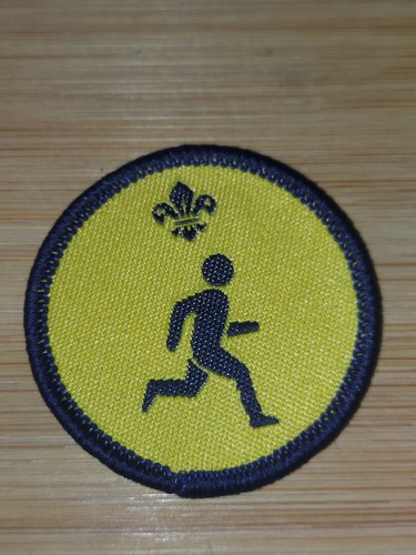 Scouting beaver scout - scouting,