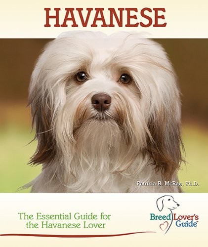 Havanese the essential guide - the,