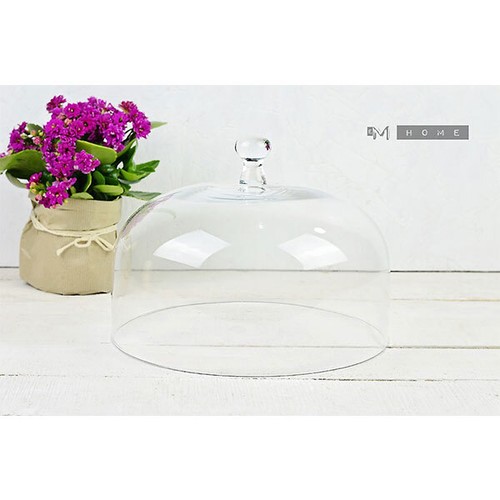 Glass display dome - display,