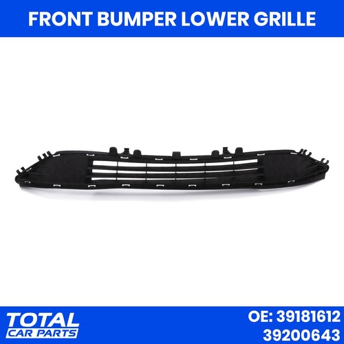 Lower radiator grille rad - lower,