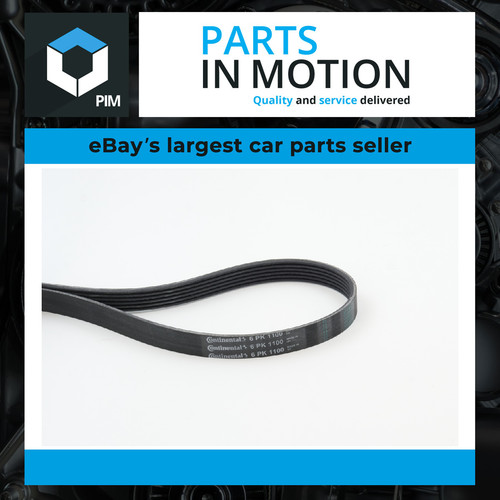 Rib multi drive - rib, belt