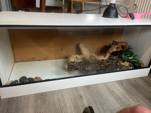 4ft 5ft vivarium used - 4ft,