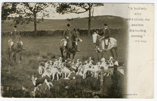Foxhound dogs horses - foxhound,