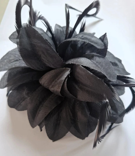 Black feather mesh - feather,