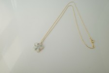 Plumeria Night Shell Necklace