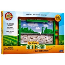 The Original Ant Farm - Live