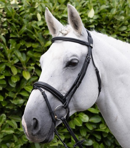 Premier equine pro elevator - pro,