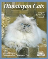 Himalayan Cats: Everything