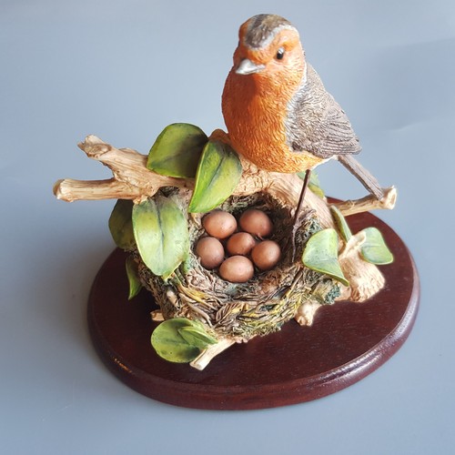 Natures kingdom robin - natures, bird