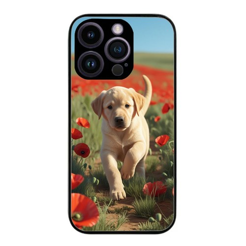 Golden labrador puppy - labrador, dog