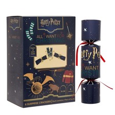 Harry Potter Christmas Gift