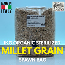 1kg Organic Sterilized Mile