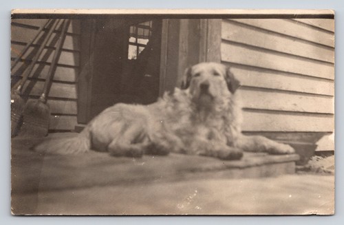 Vintage rppc postcard - vintage,