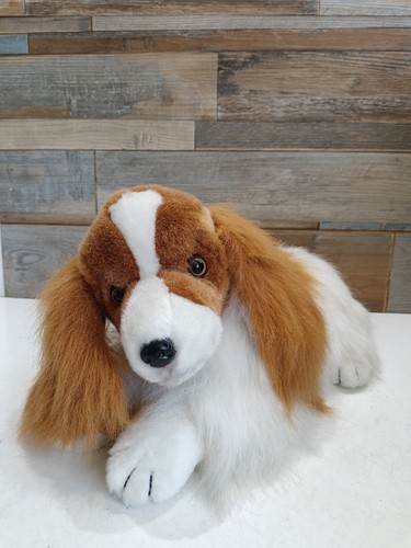 King charles spaniel puppy - king,