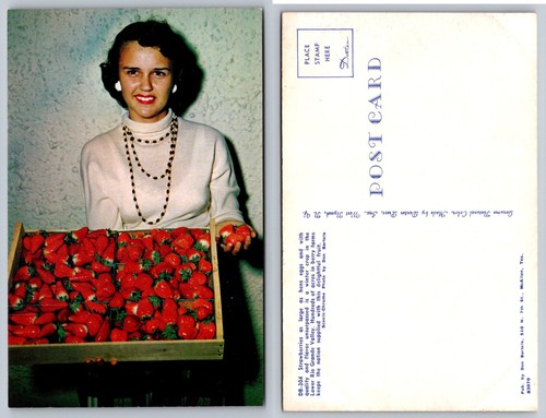 Vintage mcallen texas postcard - vintage,