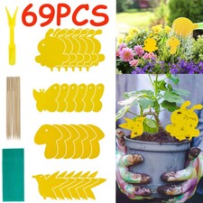 Flying Flie Traps Bugs Sticky