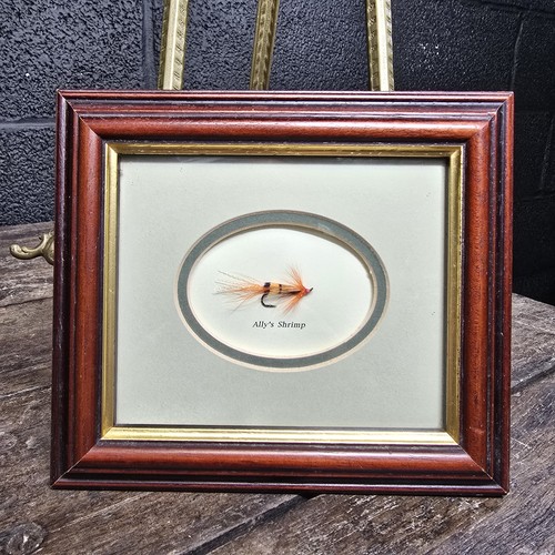 Framed ally shrimp salmon - framed, ally's
