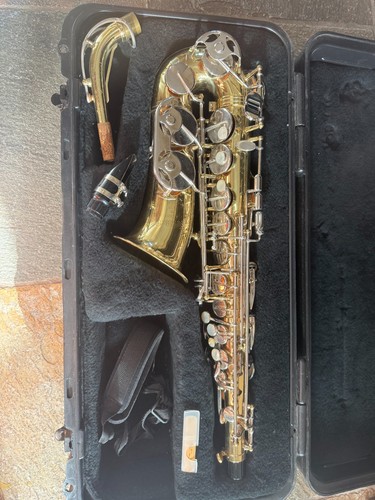 Alto saxophone hard - hard, case