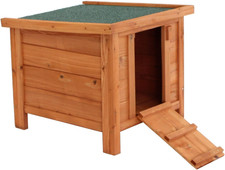 Oypla tortoise guinea pig - oypla,