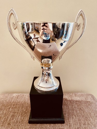 Big large silver trophy - 🏆,