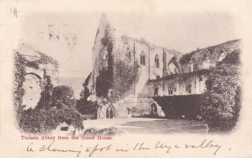 Tintern abbey 1905 - tintern,