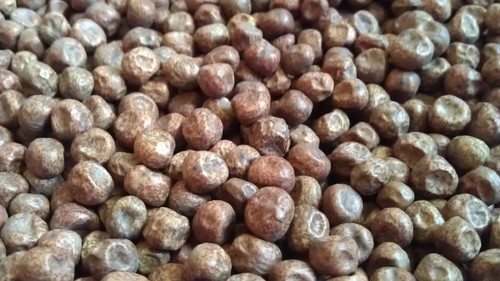 Black carlin pea ancient - carlin,