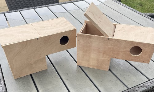 Gouldian finch nest - finch, boxes