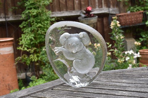 Mats jonasson koala - mats,