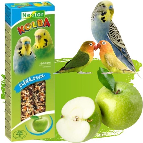 Parakeets sticks apple - sticks, bird