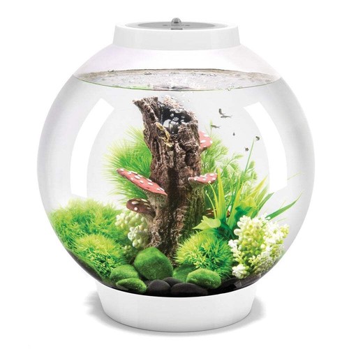 Biorb classic aquarium - biorb,