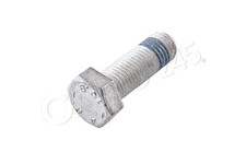 Brake caliper bolt ate fits - caliper,