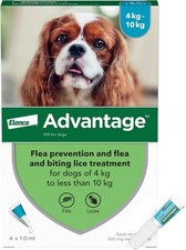 Spot On Flea Treatment for