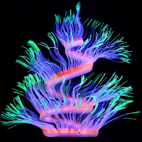 Fish tank aquarium landscape - tank,