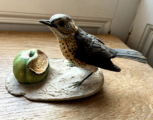 Border fine arts song thrush - border,