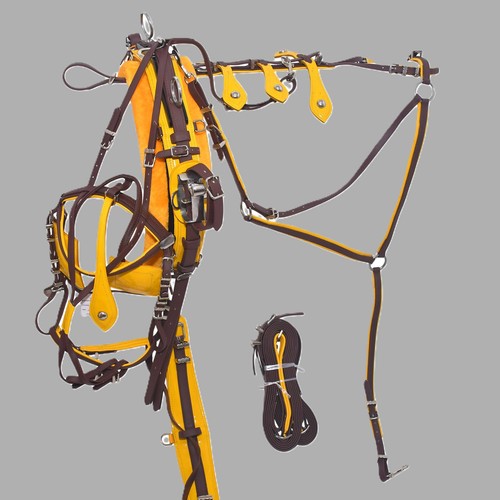 Pvc trotting harness quick - pvc,