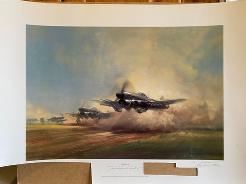 Typhoon aviation art print - typhoon,