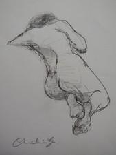 Drawing female nude reclining
