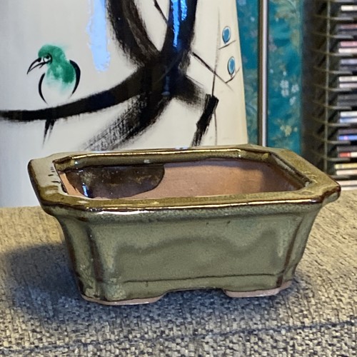 Bonsai pot glazed - pot,