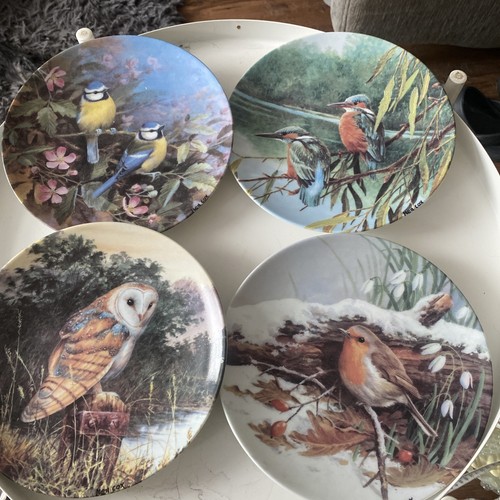 Danbury mint birds the - of,