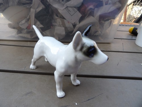 Vintage english bull terrier - english,