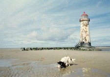 Photo 12x8 Point of Ayr