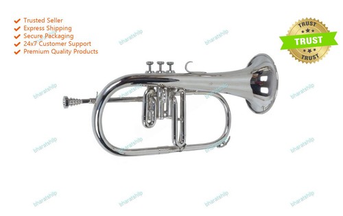 India musical instrument - india,