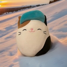 Calico Cat Squishmallow Cam