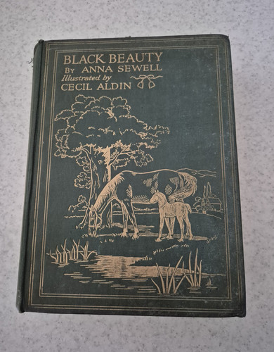 Anna sewell black - sewell, beauty