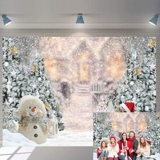 Winter Christmas Backdrop